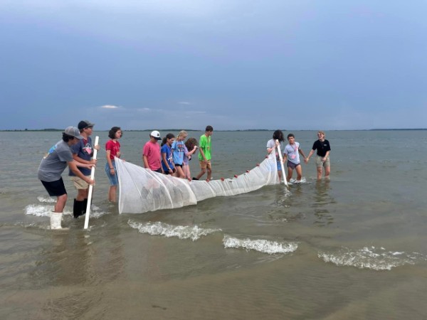 Seining at Junior Camp